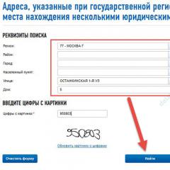 Sök och verifiering av en motpart med skatteidentifikationsnummer på webbplatsen för den federala skattetjänsten i Ryssland