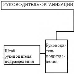 Реферат: Линейная организационная структура