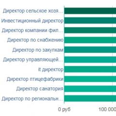 Characteristics of the work of a regional director Preface to the job description